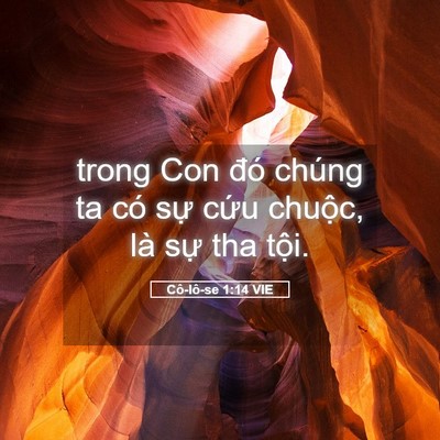 Picture 05 - Cô-lô-se 1:14 VIE - trong Con đó chúng ta có sự cứu chuộc, - Bible Verse Picture