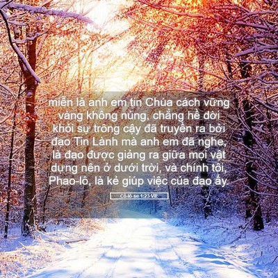 Picture 05 - Cô-lô-se 1:23 VIE - miễn là anh em tin Chúa cách vững vàng - Bible Verse Picture