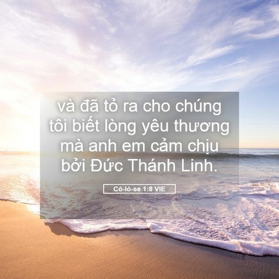 Picture 05 - Cô-lô-se 1:8 VIE - và đã tỏ ra cho chúng tôi biết lòng - Bible Verse Picture