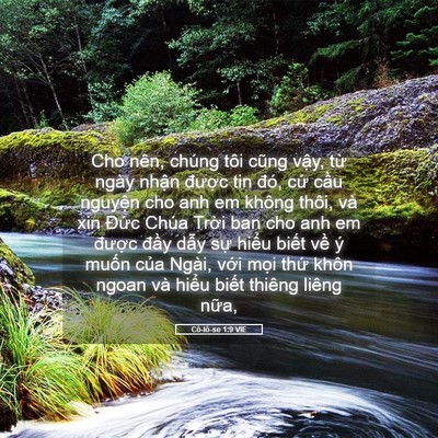 Picture 05 - Cô-lô-se 1:9 VIE - Cho nên, chúng tôi cũng vậy, từ ngày - Bible Verse Picture