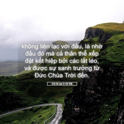 Picture 05 - Cô-lô-se 2:19 VIE - không liên lạc với đầu, là nhờ đầu - Bible Verse Picture