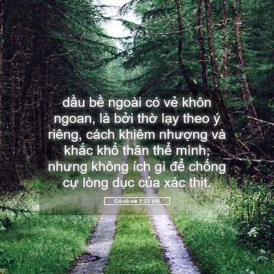 Picture 05 - Cô-lô-se 2:23 VIE - dầu bề ngoài có vẻ khôn ngoan, là bởi - Bible Verse Picture