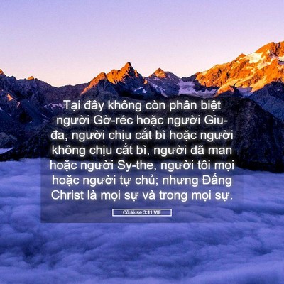 Picture 05 - Cô-lô-se 3:11 VIE - Tại đây không còn phân biệt người - Bible Verse Picture