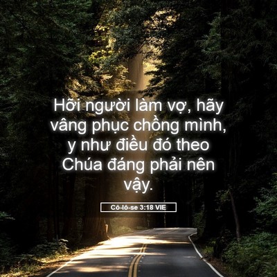 Picture 05 - Cô-lô-se 3:18 VIE - Hỡi người làm vợ, hãy vâng phục - Bible Verse Picture