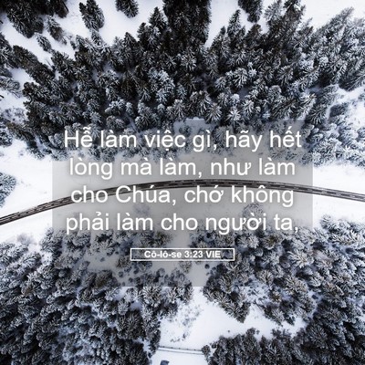 Picture 05 - Cô-lô-se 3:23 VIE - Hễ làm việc gì, hãy hết lòng mà làm, - Bible Verse Picture