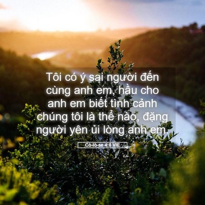 Picture 05 - Cô-lô-se 4:8 VIE - Tôi có ý sai người đến cùng anh em, - Bible Verse Picture