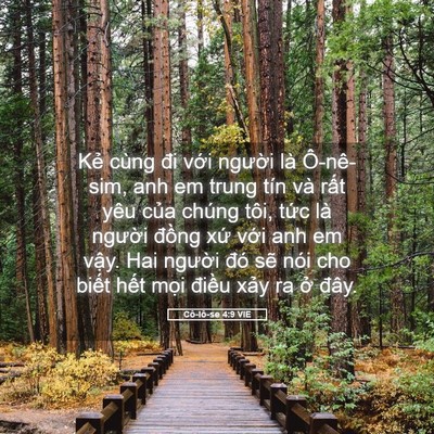 Picture 05 - Cô-lô-se 4:9 VIE - Kẻ cùng đi với người là Ô-nê-sim, anh - Bible Verse Picture