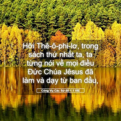Picture 05 - Công Vụ Các Sứ đồ 1:1 VIE - Hỡi Thê-ô-phi-lơ, trong sách thứ nhất - Bible Verse Picture