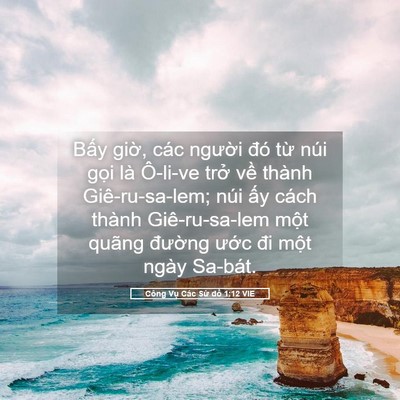 Picture 05 - Công Vụ Các Sứ đồ 1:12 VIE - Bấy giờ, các người đó từ núi gọi - Bible Verse Picture