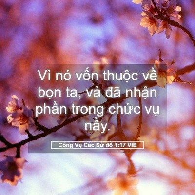 Picture 05 - Công Vụ Các Sứ đồ 1:17 VIE - Vì nó vốn thuộc về bọn ta, và đã - Bible Verse Picture