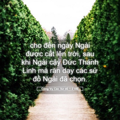 Picture 05 - Công Vụ Các Sứ đồ 1:2 VIE - cho đến ngày Ngài được cất lên - Bible Verse Picture