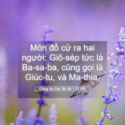 Picture 05 - Công Vụ Các Sứ đồ 1:23 VIE - Môn đồ cử ra hai người: Giô-sép tức - Bible Verse Picture
