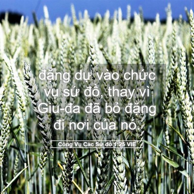 Picture 05 - Công Vụ Các Sứ đồ 1:25 VIE - đặng dự vào chức vụ sứ đồ, thay - Bible Verse Picture