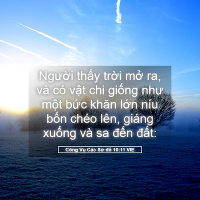 Picture 05 - Công Vụ Các Sứ đồ 10:11 VIE - Người thấy trời mở ra, và có vật chi - Bible Verse Picture