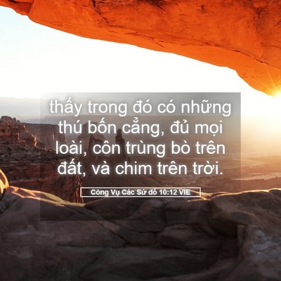 Picture 05 - Công Vụ Các Sứ đồ 10:12 VIE - thấy trong đó có những thú bốn cẳng, - Bible Verse Picture