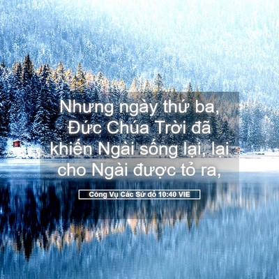 Picture 05 - Công Vụ Các Sứ đồ 10:40 VIE - Nhưng ngày thứ ba, Đức Chúa Trời đã - Bible Verse Picture