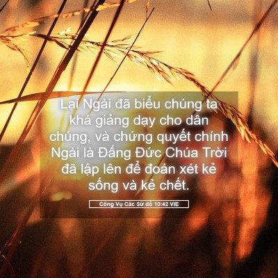 Picture 05 - Công Vụ Các Sứ đồ 10:42 VIE - Lại Ngài đã biểu chúng ta khá giảng - Bible Verse Picture