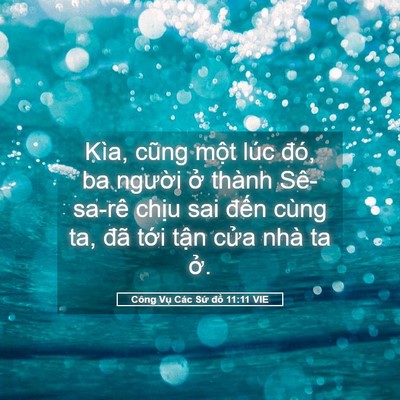 Picture 05 - Công Vụ Các Sứ đồ 11:11 VIE - Kìa, cũng một lúc đó, ba người ở - Bible Verse Picture