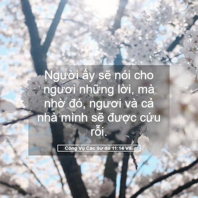 Picture 05 - Công Vụ Các Sứ đồ 11:14 VIE - Người ấy sẽ nói cho ngươi những - Bible Verse Picture