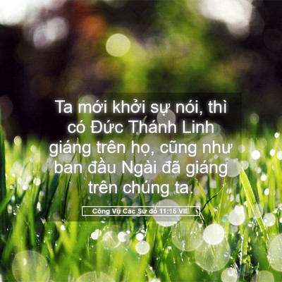 Picture 05 - Công Vụ Các Sứ đồ 11:15 VIE - Ta mới khởi sự nói, thì có Đức Thánh - Bible Verse Picture