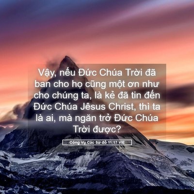 Picture 05 - Công Vụ Các Sứ đồ 11:17 VIE - Vậy, nếu Đức Chúa Trời đã ban cho - Bible Verse Picture