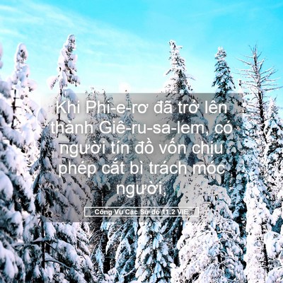 Picture 05 - Công Vụ Các Sứ đồ 11:2 VIE - Khi Phi-e-rơ đã trở lên thành - Bible Verse Picture