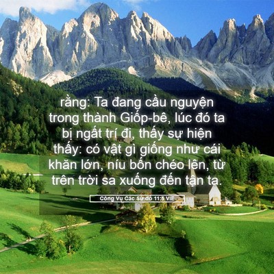 Picture 05 - Công Vụ Các Sứ đồ 11:5 VIE - rằng: Ta đang cầu nguyện trong thành - Bible Verse Picture