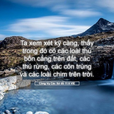 Picture 05 - Công Vụ Các Sứ đồ 11:6 VIE - Ta xem xét kỹ càng, thấy trong đó có - Bible Verse Picture