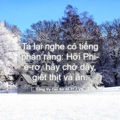 Picture 05 - Công Vụ Các Sứ đồ 11:7 VIE - Ta lại nghe có tiếng phán rằng: Hỡi - Bible Verse Picture