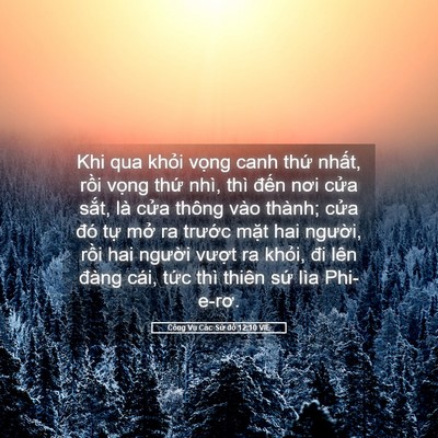 Picture 05 - Công Vụ Các Sứ đồ 12:10 VIE - Khi qua khỏi vọng canh thứ nhất, rồi - Bible Verse Picture