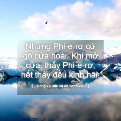 Picture 05 - Công Vụ Các Sứ đồ 12:16 VIE - Nhưng Phi-e-rơ cứ gõ cửa hoài. Khi mở - Bible Verse Picture