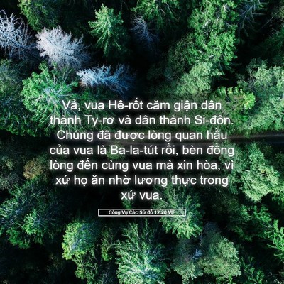 Picture 05 - Công Vụ Các Sứ đồ 12:20 VIE - Vả, vua Hê-rốt căm giận dân thành - Bible Verse Picture