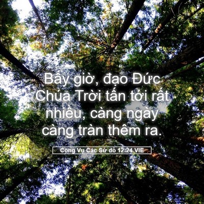 Picture 05 - Công Vụ Các Sứ đồ 12:24 VIE - Bấy giờ, đạo Đức Chúa Trời tấn - Bible Verse Picture