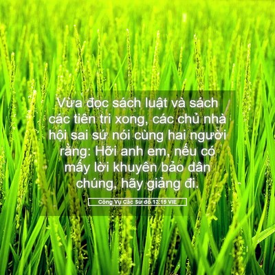 Picture 05 - Công Vụ Các Sứ đồ 13:15 VIE - Vừa đọc sách luật và sách các tiên - Bible Verse Picture