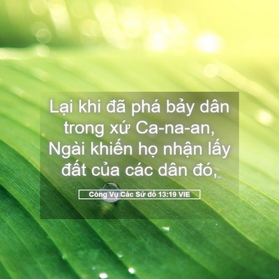 Picture 05 - Công Vụ Các Sứ đồ 13:19 VIE - Lại khi đã phá bảy dân trong xứ - Bible Verse Picture