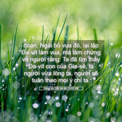 Picture 05 - Công Vụ Các Sứ đồ 13:22 VIE - đoạn, Ngài bỏ vua đó, lại lập - Bible Verse Picture