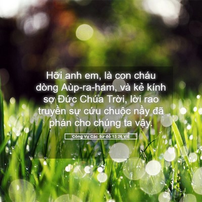 Picture 05 - Công Vụ Các Sứ đồ 13:26 VIE - Hỡi anh em, là con cháu dòng Aùp-ra-ham, - Bible Verse Picture