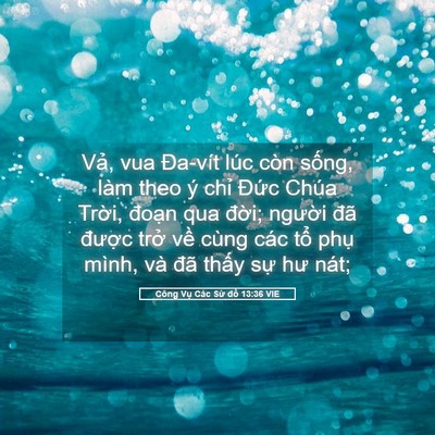 Picture 05 - Công Vụ Các Sứ đồ 13:36 VIE - Vả, vua Đa-vít lúc còn sống, làm theo ý - Bible Verse Picture