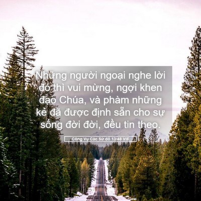 Picture 05 - Công Vụ Các Sứ đồ 13:48 VIE - Những người ngoại nghe lời đó thì vui - Bible Verse Picture