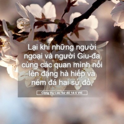 Picture 05 - Công Vụ Các Sứ đồ 14:5 VIE - Lại khi những người ngoại và người - Bible Verse Picture