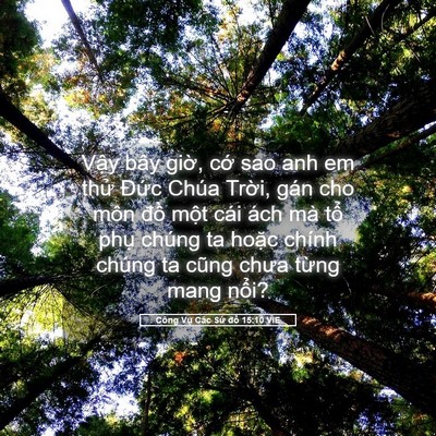 Picture 05 - Công Vụ Các Sứ đồ 15:10 VIE - Vậy bây giờ, cớ sao anh em thử Đức - Bible Verse Picture