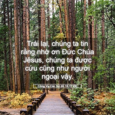Picture 05 - Công Vụ Các Sứ đồ 15:11 VIE - Trái lại, chúng ta tin rằng nhờ ơn - Bible Verse Picture