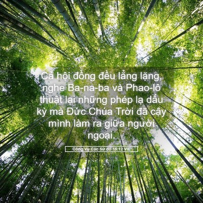 Picture 05 - Công Vụ Các Sứ đồ 15:12 VIE - Cả hội đồng đều lẳng lặng, nghe - Bible Verse Picture
