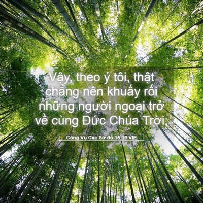 Picture 05 - Công Vụ Các Sứ đồ 15:19 VIE - Vậy, theo ý tôi, thật chẳng nên khuấy - Bible Verse Picture