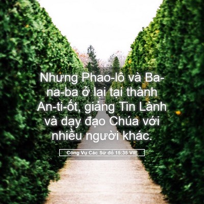 Picture 05 - Công Vụ Các Sứ đồ 15:35 VIE - Nhưng Phao-lô và Ba-na-ba ở lại tại - Bible Verse Picture