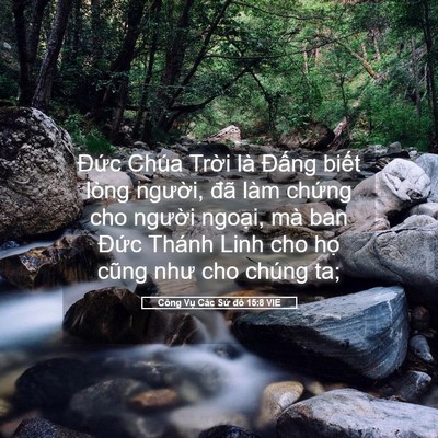 Picture 05 - Công Vụ Các Sứ đồ 15:8 VIE - Đức Chúa Trời là Đấng biết lòng - Bible Verse Picture