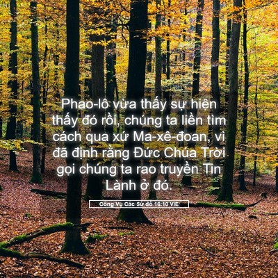 Picture 05 - Công Vụ Các Sứ đồ 16:10 VIE - Phao-lô vừa thấy sự hiện thấy đó - Bible Verse Picture