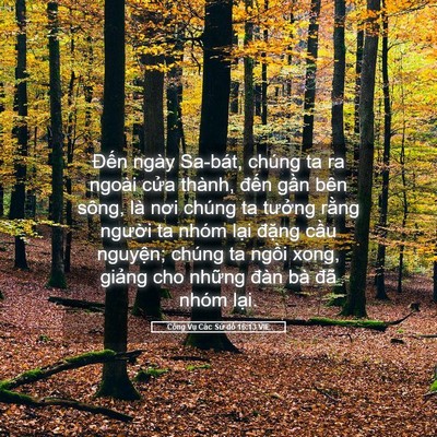 Picture 05 - Công Vụ Các Sứ đồ 16:13 VIE - Đến ngày Sa-bát, chúng ta ra ngoài cửa - Bible Verse Picture