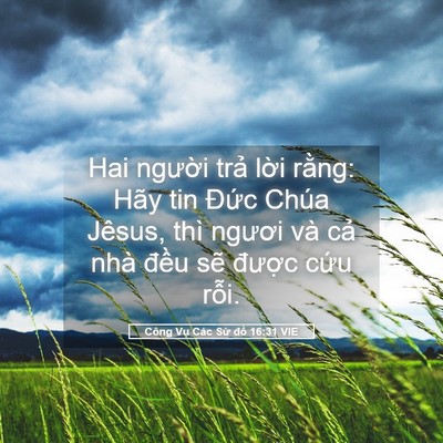 Picture 05 - Công Vụ Các Sứ đồ 16:31 VIE - Hai người trả lời rằng: Hãy tin Đức - Bible Verse Picture