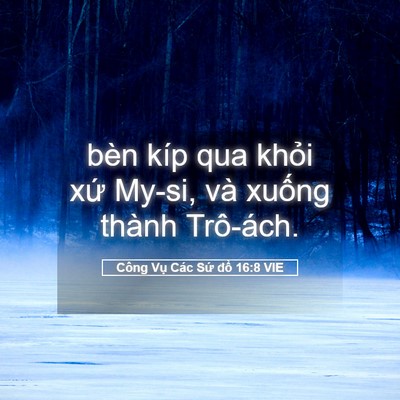 Picture 05 - Công Vụ Các Sứ đồ 16:8 VIE - bèn kíp qua khỏi xứ My-si, và xuống - Bible Verse Picture